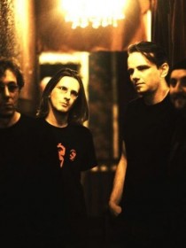 Porcupine Tree 猬上树