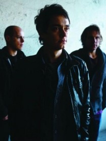 Animal Kingdom Animal Kingdom