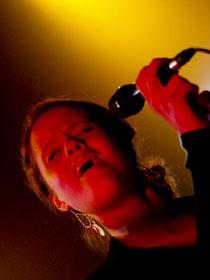 Club des Belugas Club Des Belugas