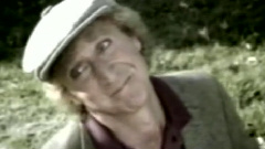 Stevie Wonder - I Just Called To Say I Love You