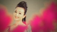 苏畅 - 彩云追月