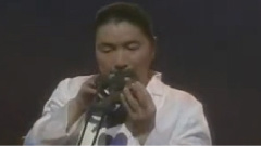 野村 宗次郎 - 故乡的原风景