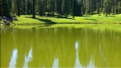 民乐群星 - 闲居吟