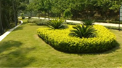 民乐群星 - 鸟投林