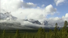 民乐群星 - 柳摇金