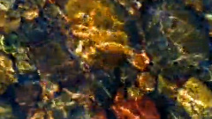 民乐群星 - 怀乡曲