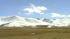 民乐群星 - 小放牛