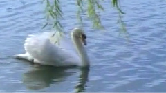 民乐群星 - 水乡船歌