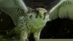 民乐群星 - 三五七