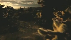 民乐群星 - 七品芝麻官