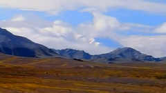 民乐群星 - 哈哈腔