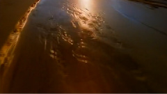 民乐群星 - 凤阳歌绞八板