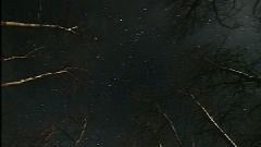 民乐群星 - 大浪淘沙