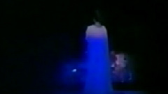 芸能生活30周年記念