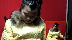 民乐群星 - 彩霞映梅