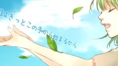 Nico - グリーンストレート