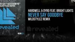 Bright Lights - Never Say Goodbye
