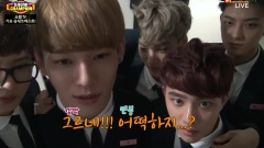 Show Champion 后台