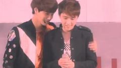 你的爱情 它是什么样子