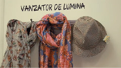 Vanzator De Lumina