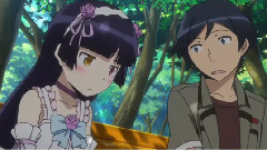 放开那只黑猫,让专业的来