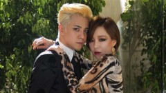 罗志祥 - 爱投罗网