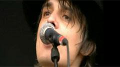 Last Of The English Roses