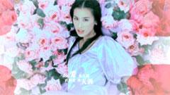 黄圣依 - 不胜依依