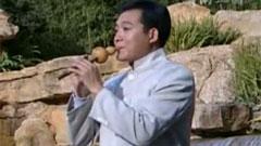 金孔雀与凤尾竹