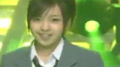 桜の花びらたち