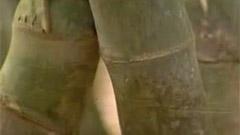 哏德全 - 竹林深处