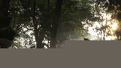 美不胜收的哥斯达黎加