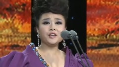 看见胡杨就想起了你