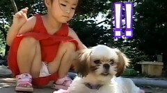 JTL - 爱犬日记之歌友会