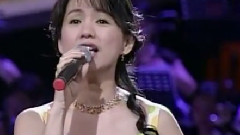 蔡幸娟 - 叹十声