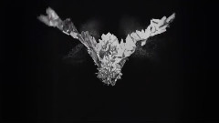 OneRepublic - Counting Stars 2013 Tour Content