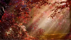 Mickaël David - Mysterious Rise