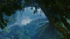 Mickael David - Recalcitrance