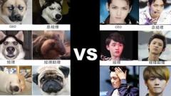 那些年拍的囧囧的exo