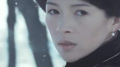 电影<一代宗师>