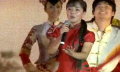 王二妮 - 爱陕北