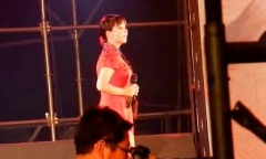 王二妮 - 走西口