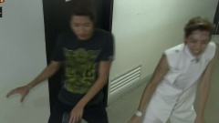 Show Champion Show Cham TV