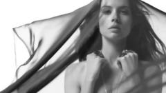 Circle Of Spotless Light