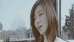 柴田淳 - 花吹雪