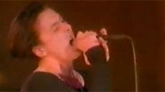 Suede - To The Birds
