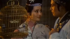 朱逢博 - 笼儿不是鸟的家