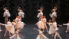 芭蕾舞< 胡桃夹子 >