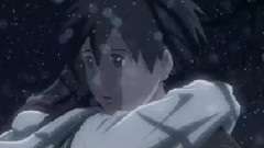 樱花色飞舞的季节