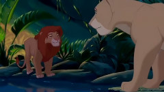 Can You Feel The Love Tonight